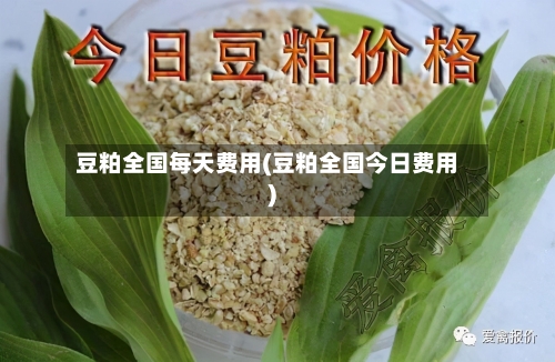 豆粕全国每天费用(豆粕全国今日费用)-第3张图片