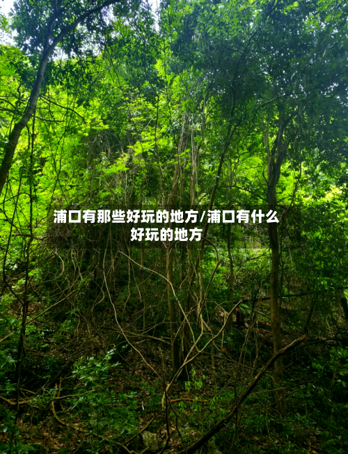 浦口有那些好玩的地方/浦口有什么好玩的地方