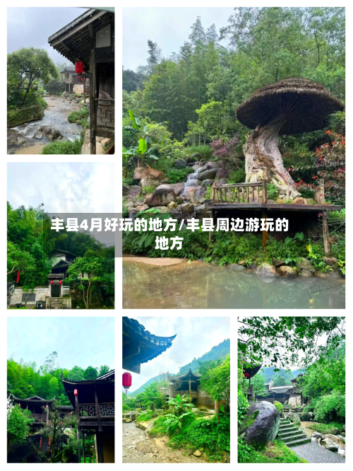 丰县4月好玩的地方/丰县周边游玩的地方-第3张图片