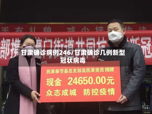 甘肃确诊病例246/甘肃确诊几例新型冠状病毒-第2张图片