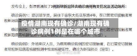 疫情湖南现有确诊/湖南现有确诊病例1例是在哪个城市