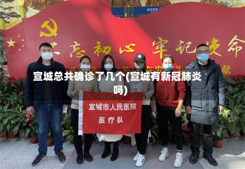 宣城总共确诊了几个(宣城有新冠肺炎吗)-第3张图片