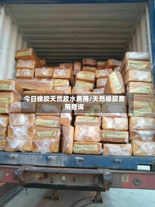 今日橡胶天然胶水费用/天然橡胶费用查询-第3张图片