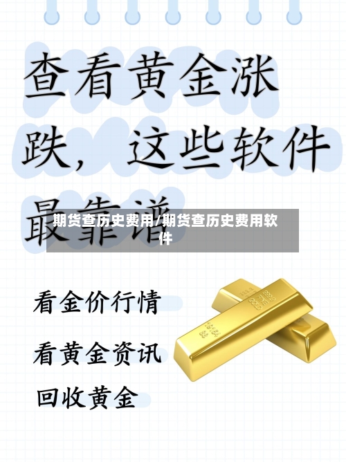 期货查历史费用/期货查历史费用软件
