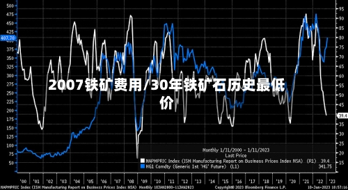2007铁矿费用/30年铁矿石历史最低价