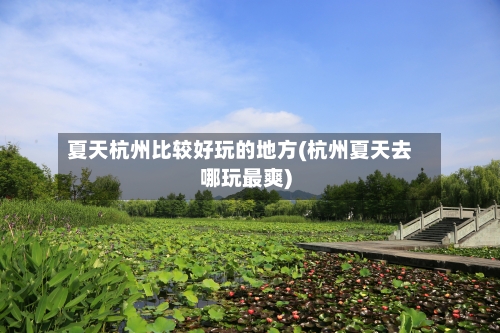 夏天杭州比较好玩的地方(杭州夏天去哪玩最爽)