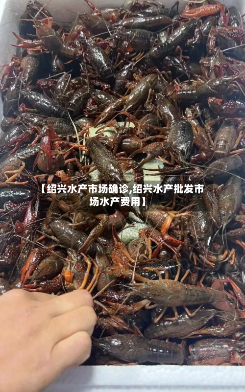 【绍兴水产市场确诊,绍兴水产批发市场水产费用】