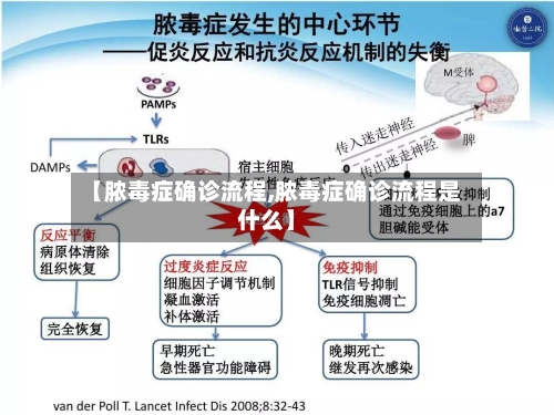 【脓毒症确诊流程,脓毒症确诊流程是什么】