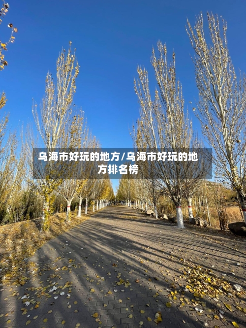 乌海市好玩的地方/乌海市好玩的地方排名榜-第3张图片