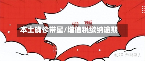 本土确诊带星/增值税缴纳逾期