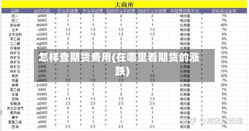 怎样查期货费用(在哪里看期货的涨跌)