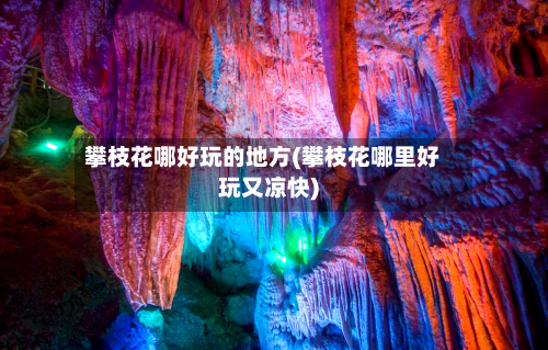 攀枝花哪好玩的地方(攀枝花哪里好玩又凉快)
