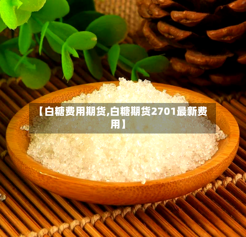 【白糖费用期货,白糖期货2701最新费用】