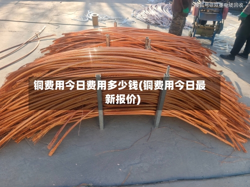 铜费用今日费用多少钱(铜费用今日最新报价)-第2张图片