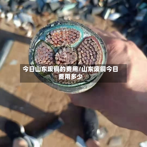 今日山东废铜的费用/山东废铜今日费用多少
