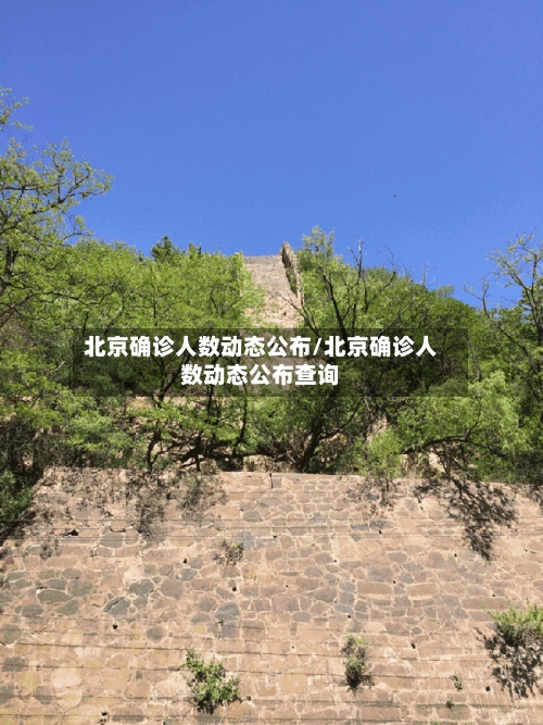 北京确诊人数动态公布/北京确诊人数动态公布查询-第3张图片