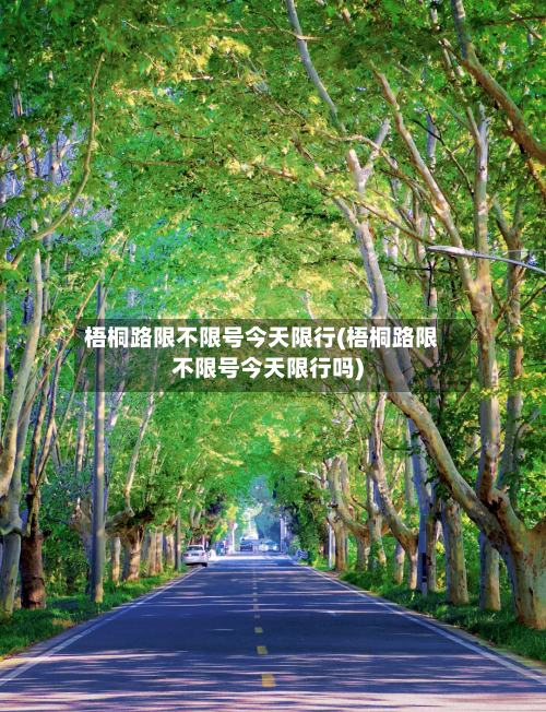 梧桐路限不限号今天限行(梧桐路限不限号今天限行吗)-第2张图片