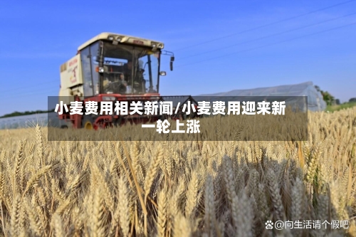 小麦费用相关新闻/小麦费用迎来新一轮上涨-第3张图片