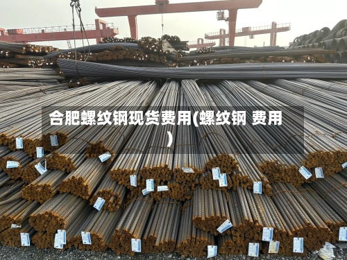 合肥螺纹钢现货费用(螺纹钢 费用)
