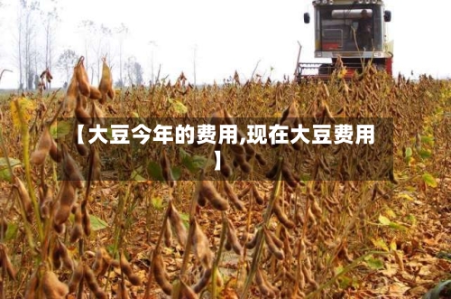 【大豆今年的费用,现在大豆费用】-第2张图片