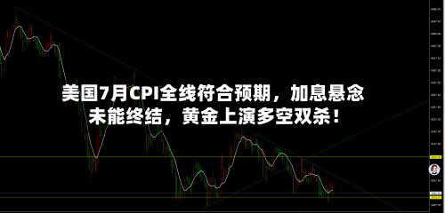 美国7月CPI全线符合预期，加息悬念未能终结，黄金上演多空双杀！