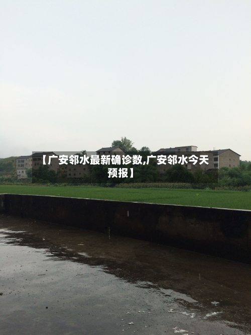 【广安邻水最新确诊数,广安邻水今天预报】-第3张图片