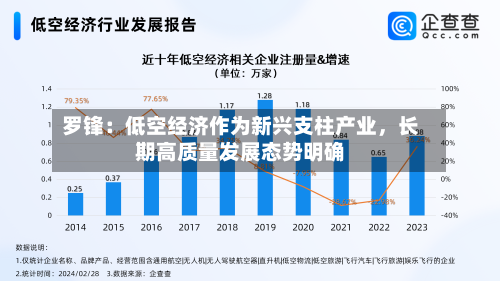 罗锋：低空经济作为新兴支柱产业，长期高质量发展态势明确-第3张图片