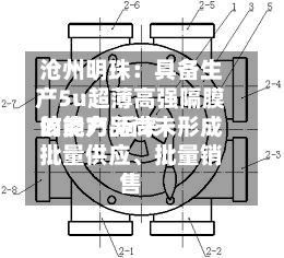 沧州明珠：具备生产5u超薄高强隔膜的能力 近来该类产品尚未形成批量供应、批量销售-第2张图片