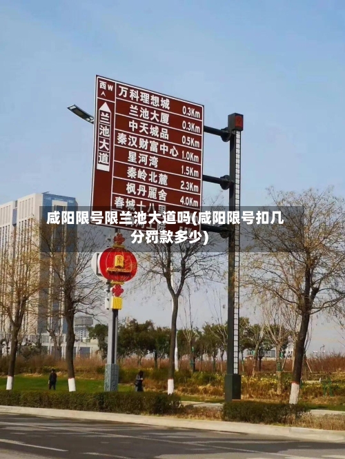 咸阳限号限兰池大道吗(咸阳限号扣几分罚款多少)-第3张图片