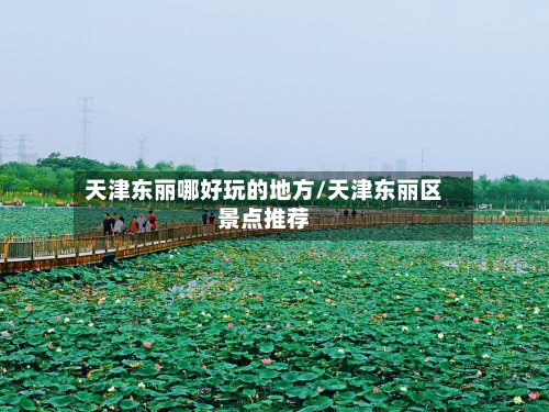 天津东丽哪好玩的地方/天津东丽区景点推荐