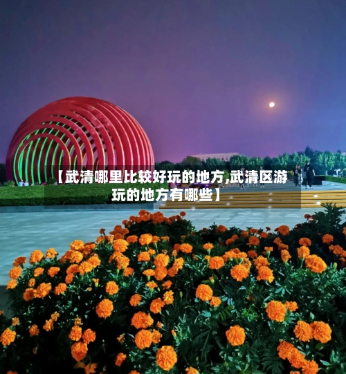 【武清哪里比较好玩的地方,武清区游玩的地方有哪些】