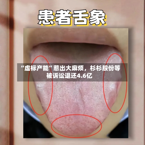 “虚标产能”惹出大麻烦，杉杉股份等被诉讼退还4.6亿-第2张图片