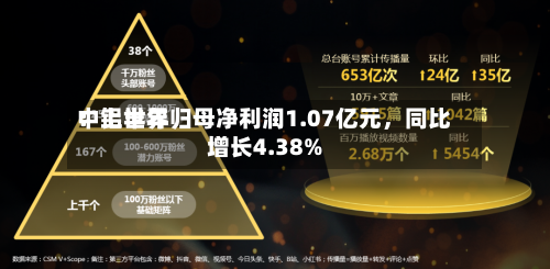 中铝世界：上半年归母净利润1.07亿元，同比增长4.38%-第2张图片