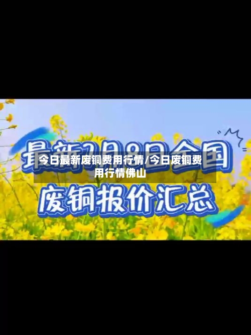 今日最新废铜费用行情/今日废铜费用行情佛山-第2张图片