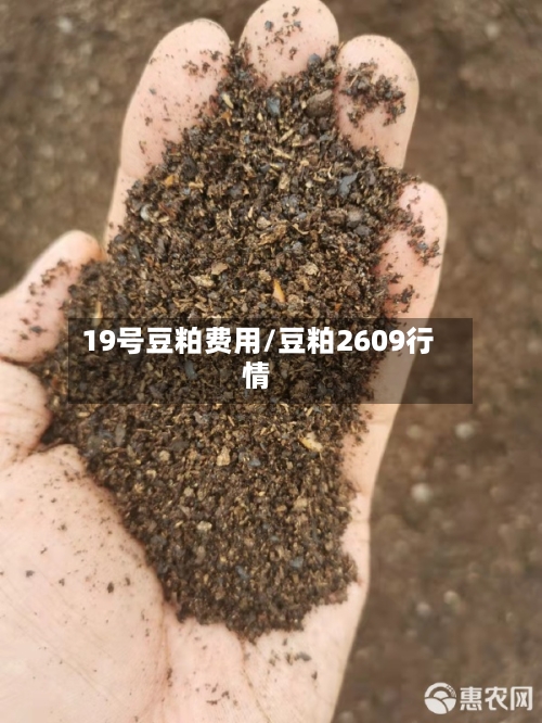 19号豆粕费用/豆粕2609行情
