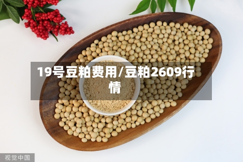 19号豆粕费用/豆粕2609行情-第2张图片