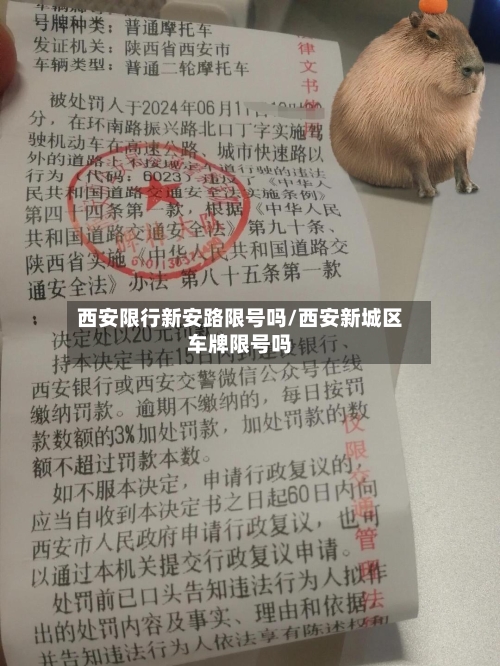 西安限行新安路限号吗/西安新城区车牌限号吗-第3张图片