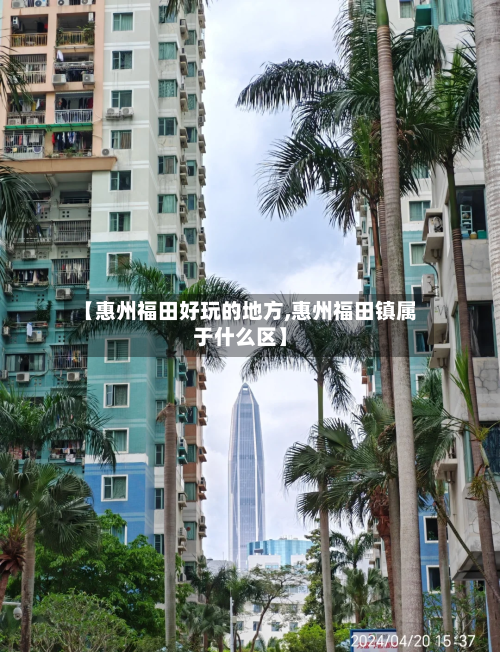 【惠州福田好玩的地方,惠州福田镇属于什么区】
