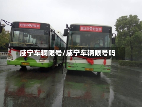 咸宁车辆限号/咸宁车辆限号吗-第3张图片