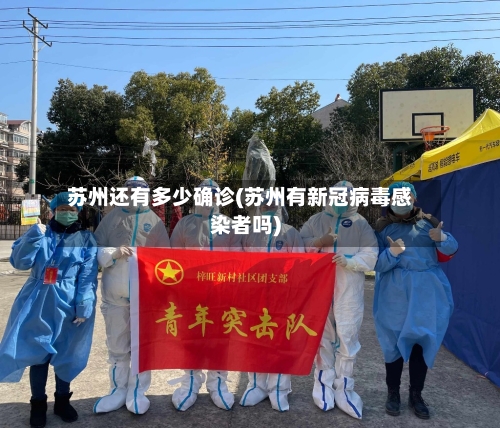 苏州还有多少确诊(苏州有新冠病毒感染者吗)-第2张图片