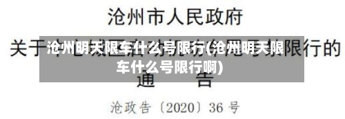 沧州明天限车什么号限行(沧州明天限车什么号限行啊)-第3张图片