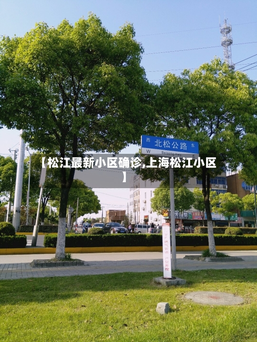 【松江最新小区确诊,上海松江小区】