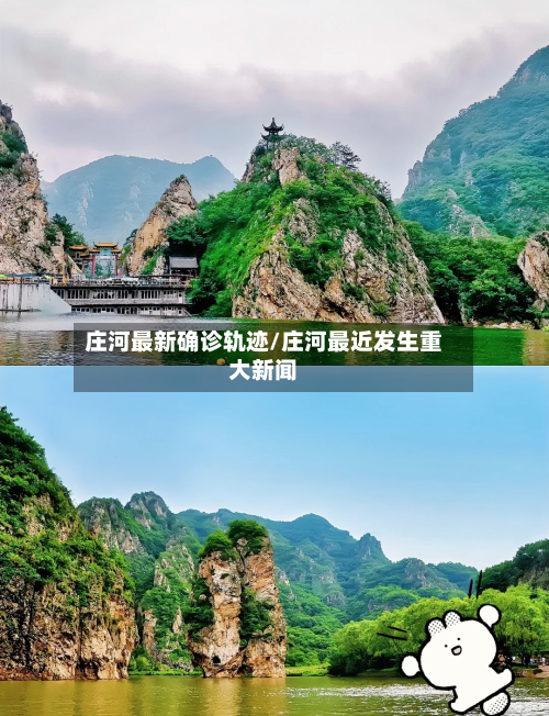 庄河最新确诊轨迹/庄河最近发生重大新闻