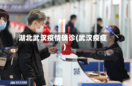 湖北武汉疫情确诊(武汉疫症)