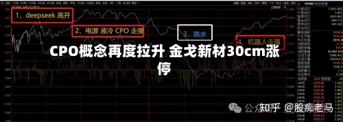 CPO概念再度拉升 金戈新材30cm涨停