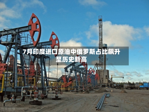 7月印度进口原油中俄罗斯占比飙升至历史新高-第2张图片