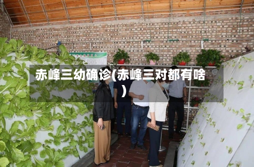 赤峰三幼确诊(赤峰三对都有啥)-第3张图片