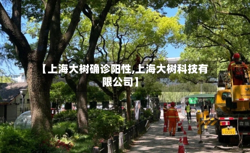 【上海大树确诊阳性,上海大树科技有限公司】