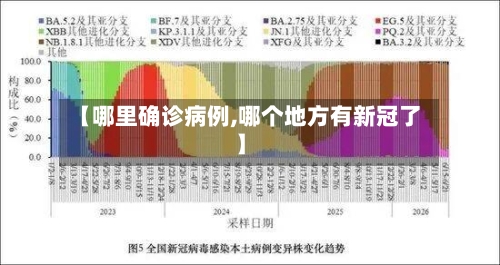 【哪里确诊病例,哪个地方有新冠了】-第2张图片