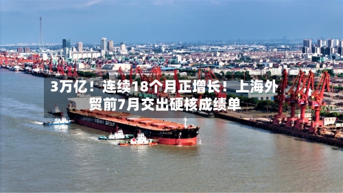 3万亿!连续18个月正增长!上海外贸前7月交出硬核成绩单-第2张图片